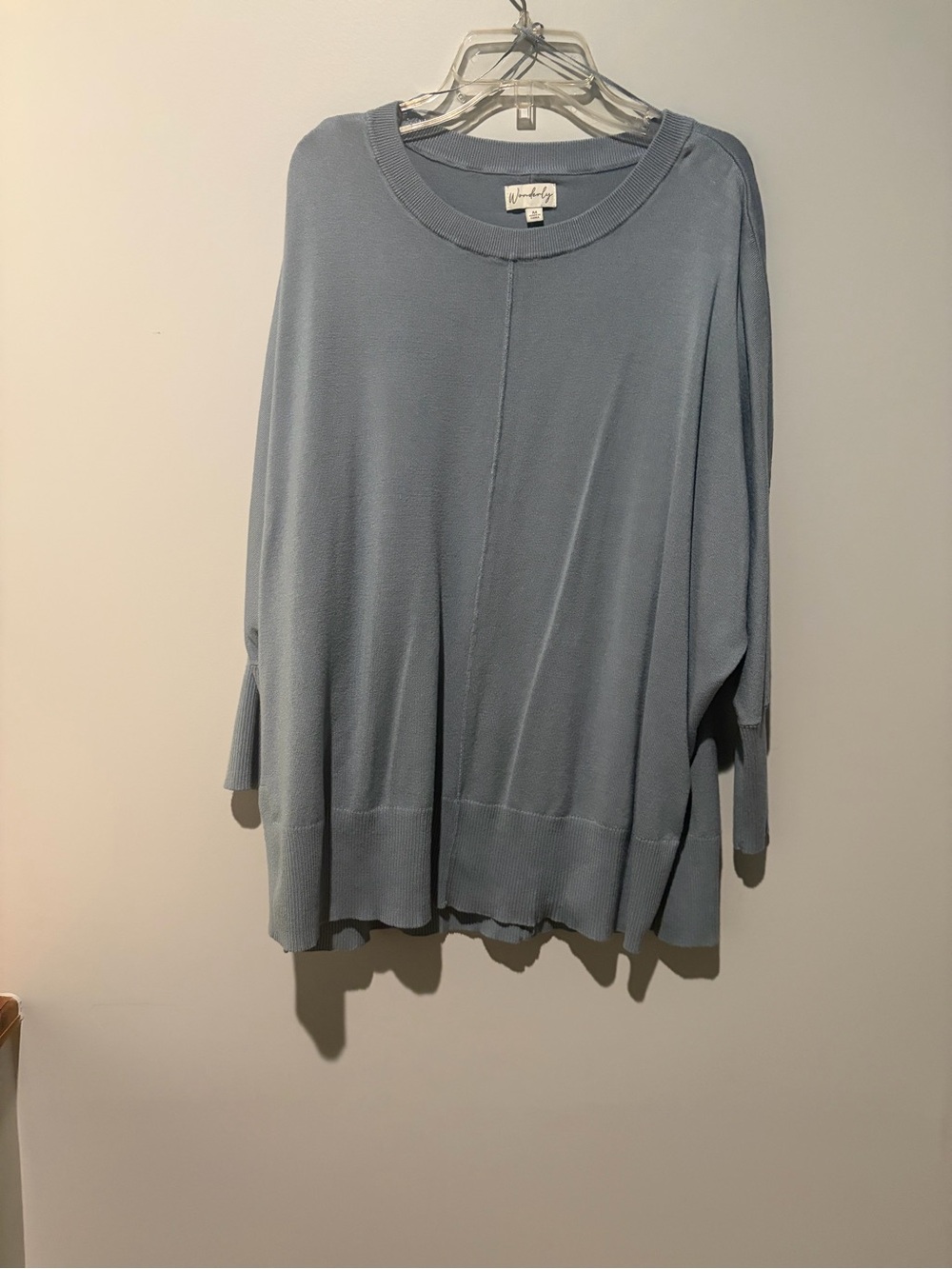 Wonderly Relaxed Light Blue Crewneck Pullover